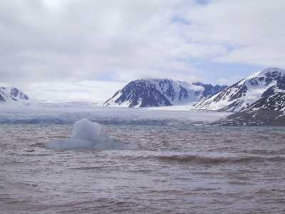 Gletscher in Raudfjorden
